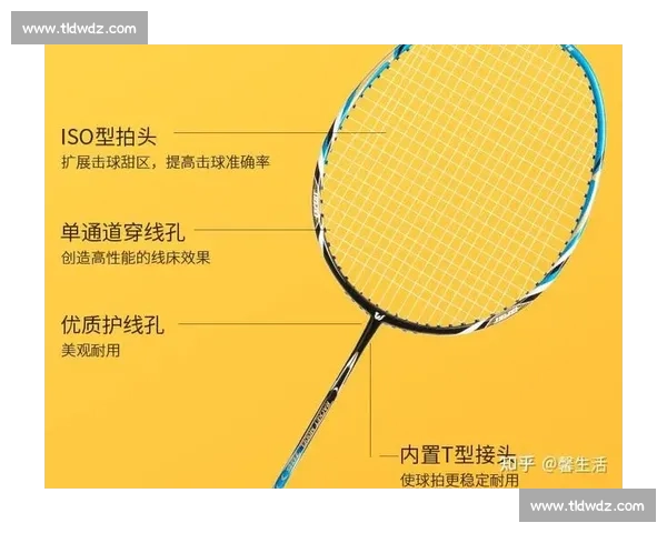 VS球拍全面解析:从材质工艺到击球手感的全方位评测与选购指南 VS球拍全面解析:从材质工艺到击球手感的全方位评测与选购指南